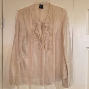 Pearlized ivory blouse